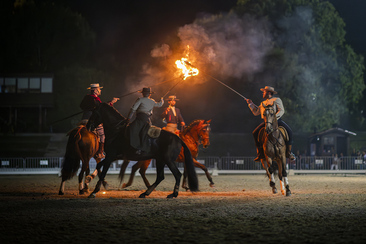 Horses of the World Poster -  Portugal