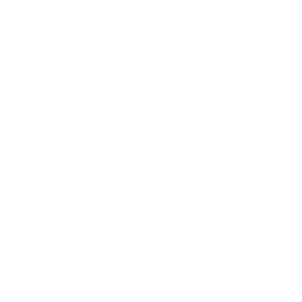 GS Equestrian white logo