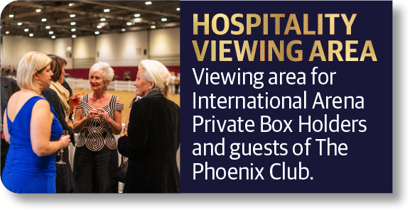 Hospitality viewing area - Viewing area for International Arena Private Box Holders and guests of of The Phoenix Club