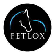 Company-logo-for-FETLOX-LLP