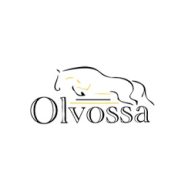 Company-logo-for-Olvossa