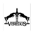 Company-logo-for-Veredus